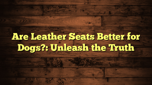 Are Leather Seats Better for Dogs?: Unleash the Truth