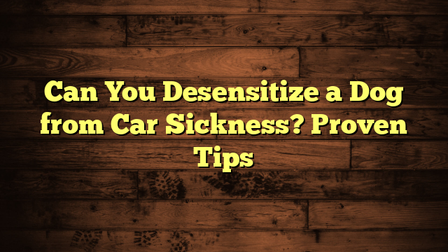 Can You Desensitize a Dog from Car Sickness? Proven Tips