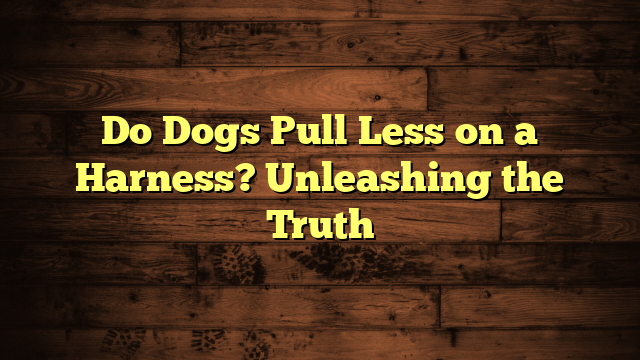 Do Dogs Pull Less on a Harness? Unleashing the Truth