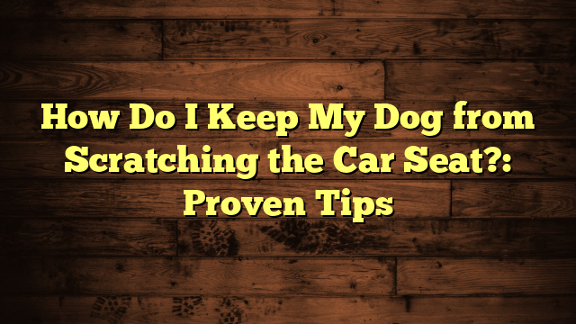 How Do I Keep My Dog from Scratching the Car Seat?: Proven Tips