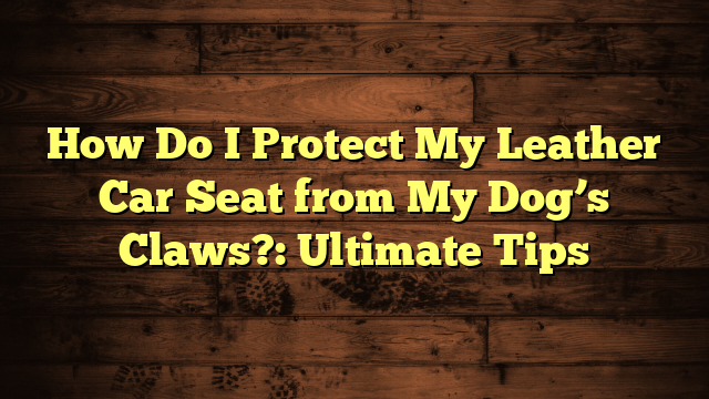 How Do I Protect My Leather Car Seat from My Dog’s Claws?: Ultimate Tips