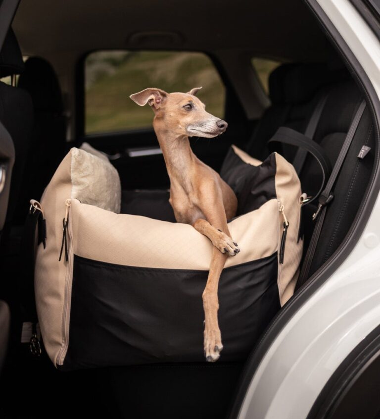 Do Car Seats Help Dogs With Anxiety? Soothing Solutions
