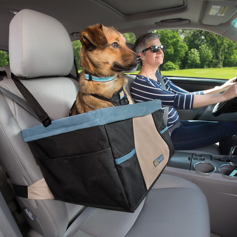 Do Dogs Need Car Seats? Ensuring Pet Safety on the Road
