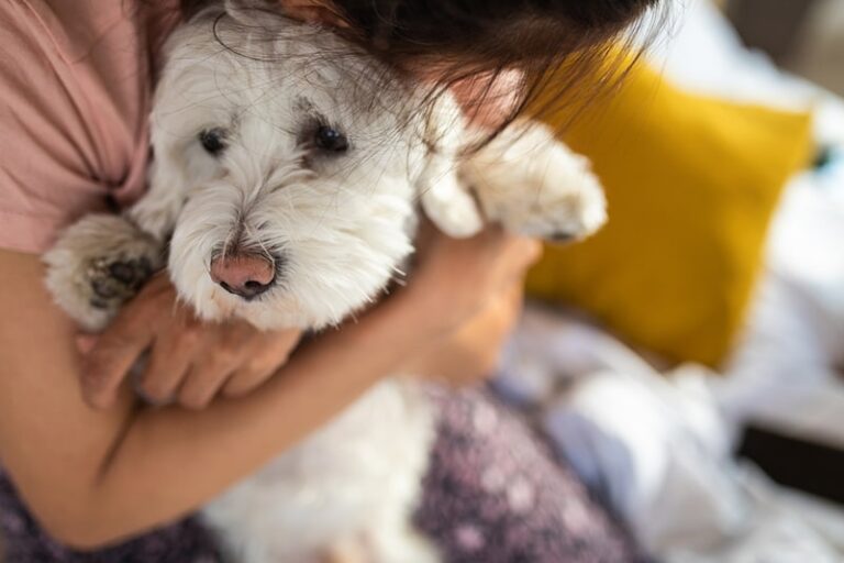 Is Anxiety a Mental Illness in Dogs? Unveiling Truths