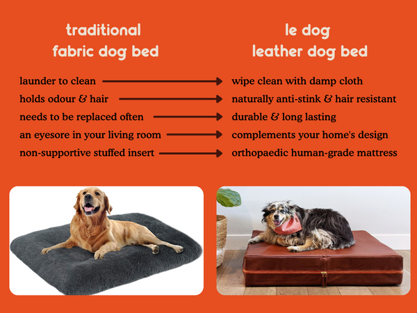 Is Leather or Cloth Better for Dogs? Unleash the Truth