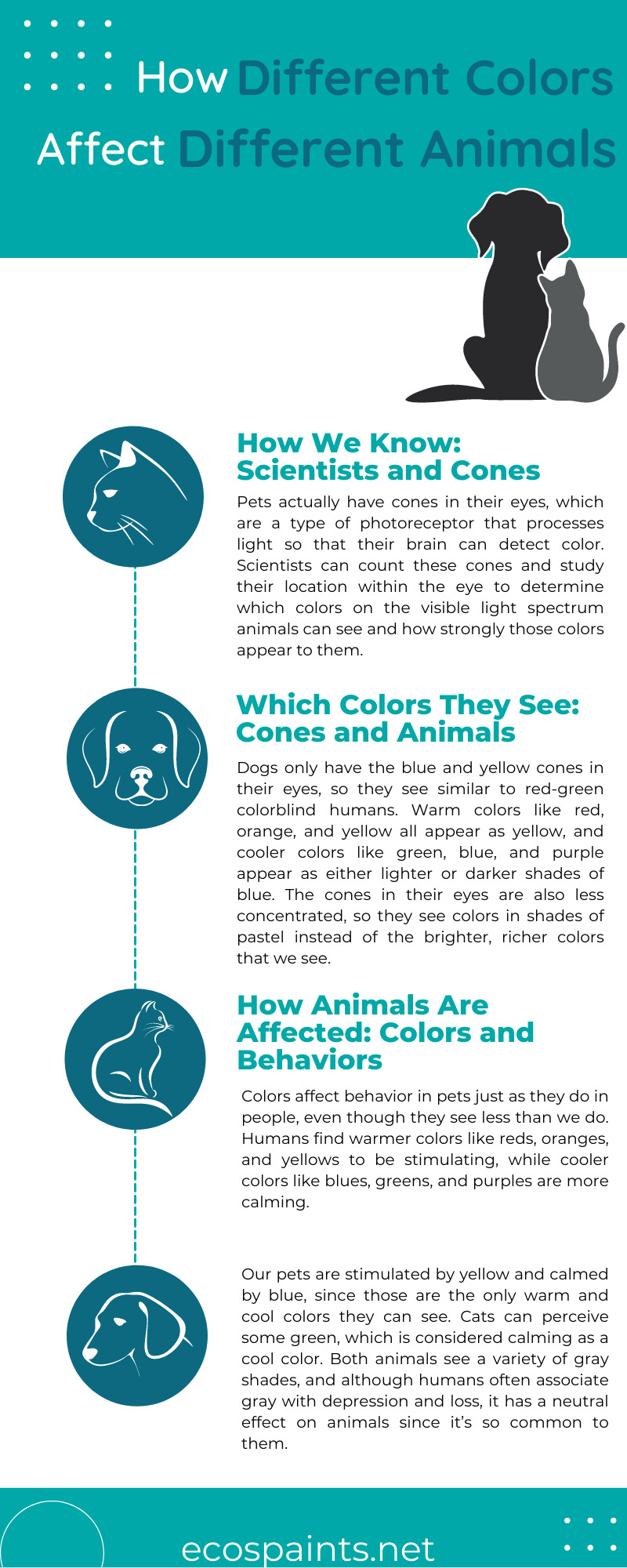 What Color is Calming to Dogs? Unveiling Serene Hues Seat Cover Guide