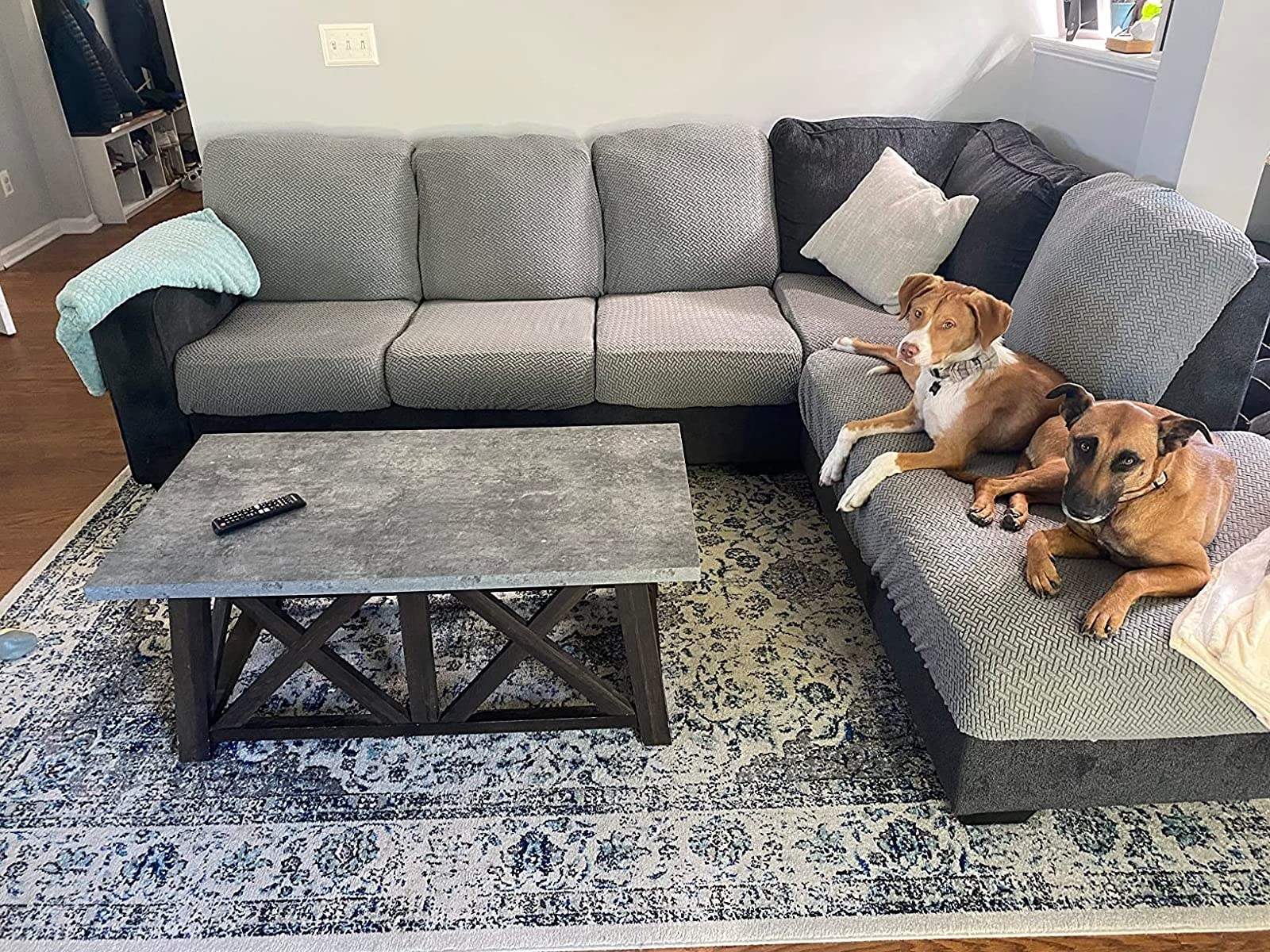 What is the Best Couch for Dog Owners? Top Picks & Tips Seat Cover Guide