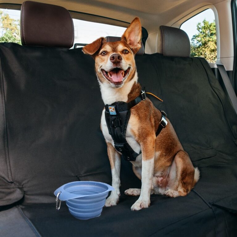 Where is the Best Place for a Dog to Ride in a Car?: Safe Spots Unveiled