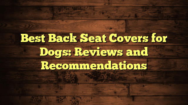 Best Back Seat Covers for Dogs: Reviews and Recommendations