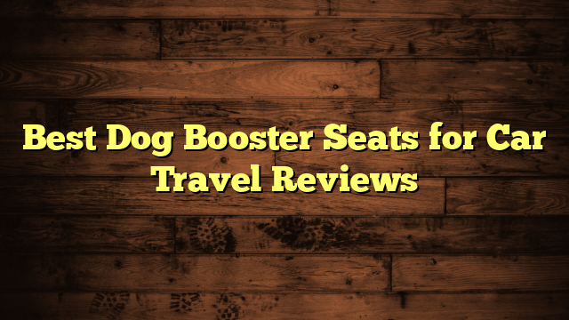 Best Dog Booster Seats for Car Travel Reviews