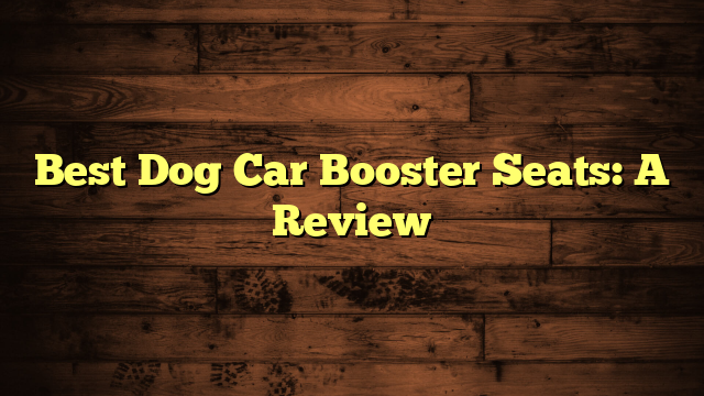 Best Dog Car Booster Seats: A Review