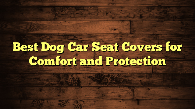 Best Dog Car Seat Covers for Comfort and Protection