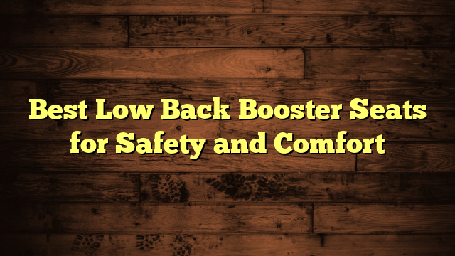 Best Low Back Booster Seats for Safety and Comfort