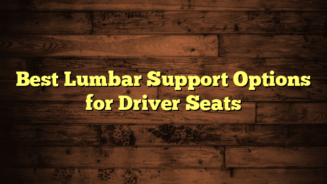 Best Lumbar Support Options for Driver Seats