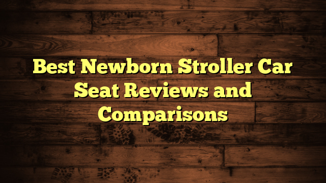 Best Newborn Stroller Car Seat Reviews and Comparisons