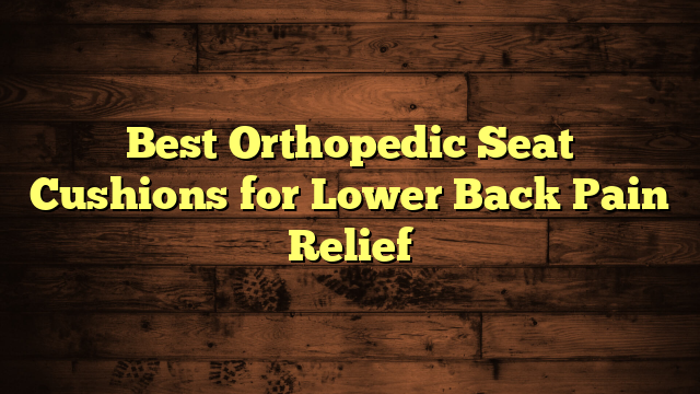 Best Orthopedic Seat Cushions for Lower Back Pain Relief