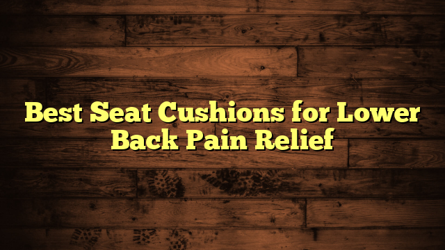 Best Seat Cushions for Lower Back Pain Relief