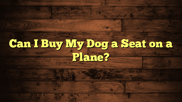 Can I Buy My Dog a Seat on a Plane?