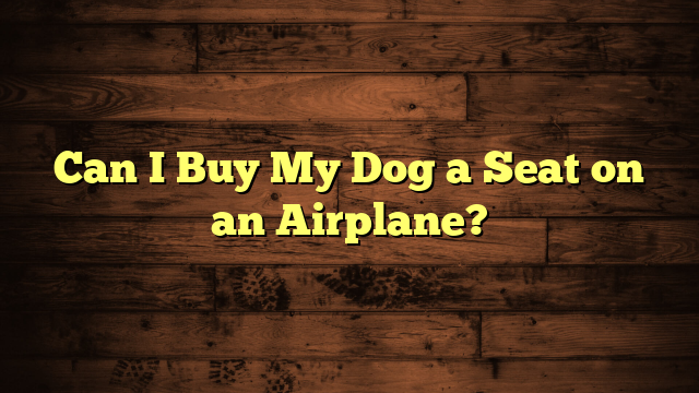 Can I Buy My Dog a Seat on an Airplane?