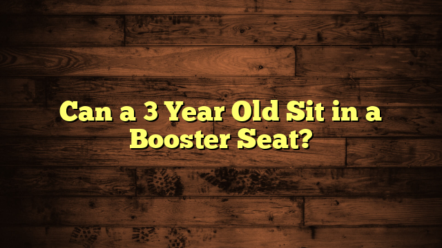 Can a 3 Year Old Sit in a Booster Seat?