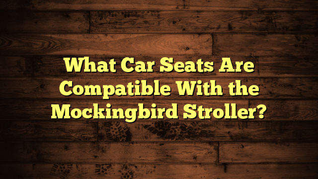 What Car Seats Are Compatible With the Mockingbird Stroller?