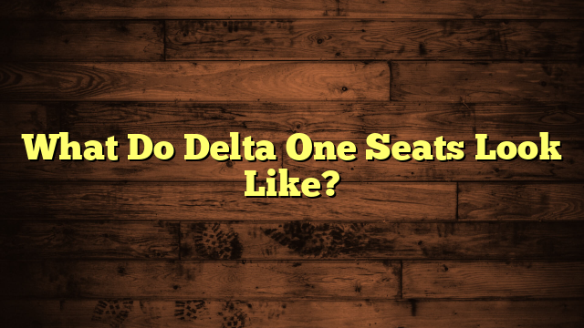 What Do Delta One Seats Look Like?