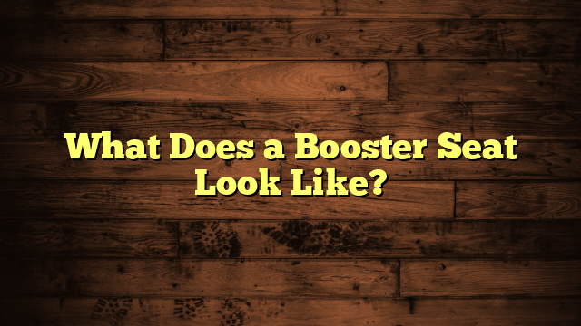 What Does a Booster Seat Look Like?