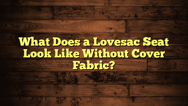 What Does a Lovesac Seat Look Like Without Cover Fabric?