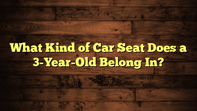 What Kind of Car Seat Does a 3-Year-Old Belong In?