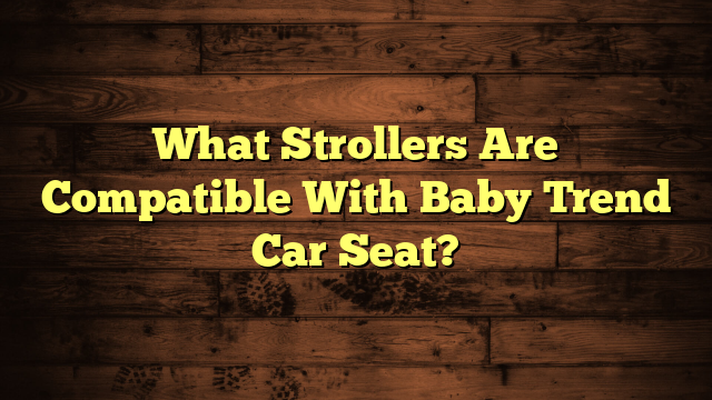 What Strollers Are Compatible With Baby Trend Car Seat?