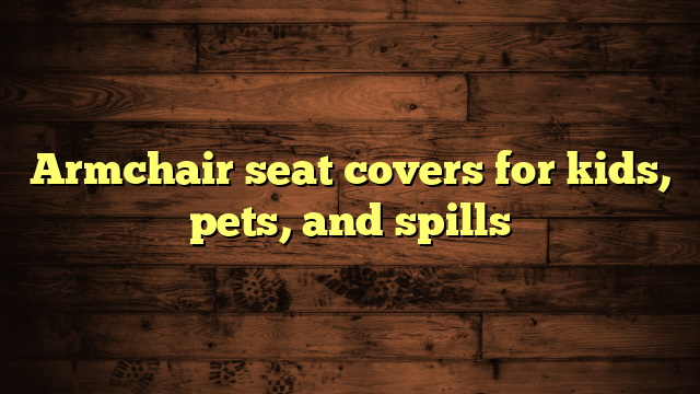 Armchair seat covers for kids, pets, and spills