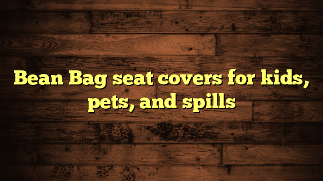 Bean Bag seat covers for kids, pets, and spills