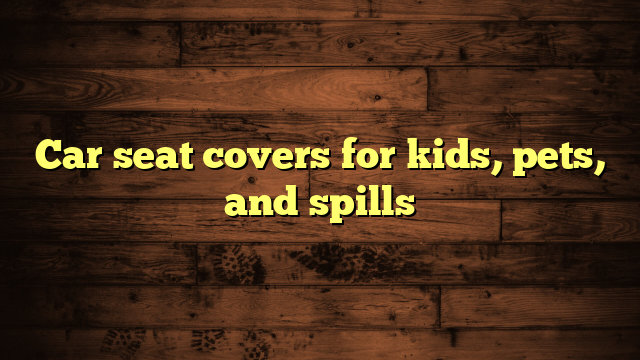 Car seat covers for kids, pets, and spills