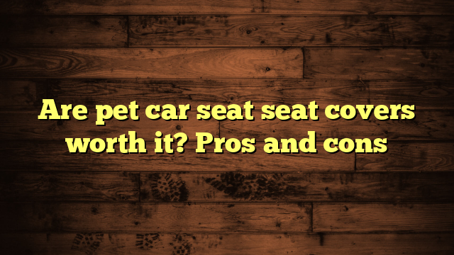 Are pet car seat seat covers worth it? Pros and cons